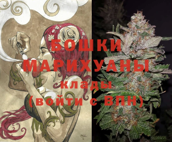 сатива Алексин