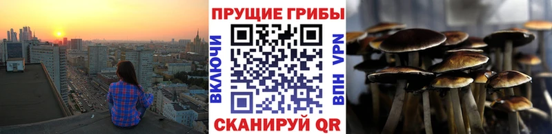 Псилоцибиновые грибы прущие грибы  цена   Энем 